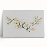 Delicate Cherry Blossom Art Prints: Elegant Floral Wall Art