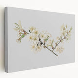Delicate Cherry Blossom Art Prints: Elegant Floral Wall Art