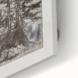 Botanical Etching – Forest Trees Nature Illustration Art Print