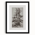 Botanical Etching – Forest Trees Nature Illustration Art Print