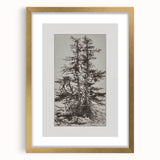Botanical Etching – Forest Trees Nature Illustration Art Print