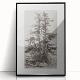 Botanical Etching – Forest Trees Nature Illustration Art Print
