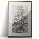 Botanical Etching – Forest Trees Nature Illustration Art Print