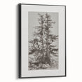 Botanical Etching – Forest Trees Nature Illustration Art Print