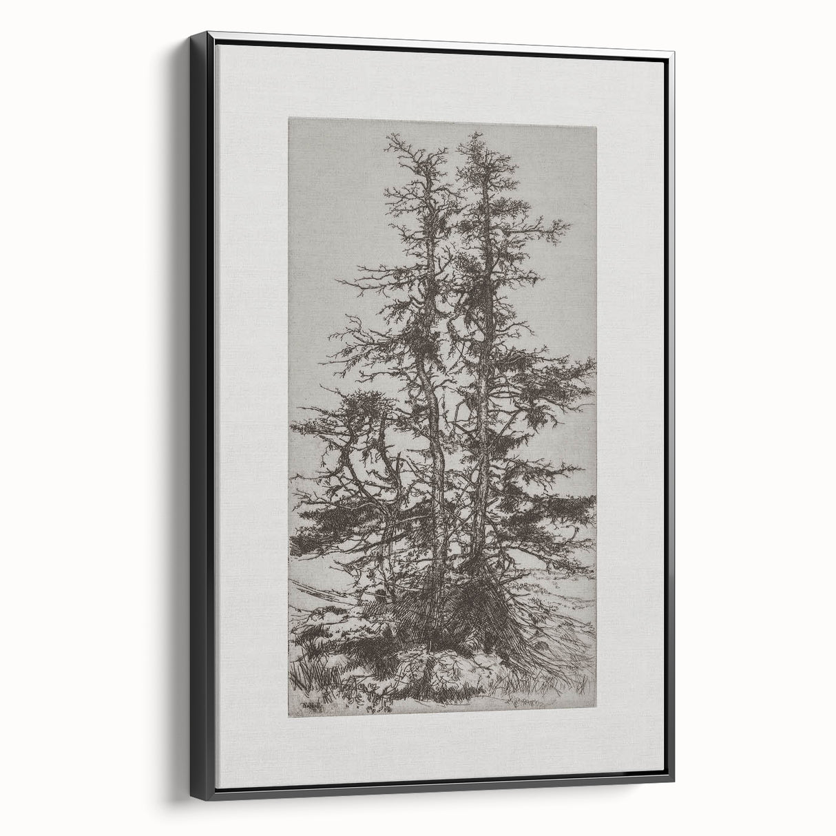Botanical Etching – Forest Trees Nature Illustration Art Print