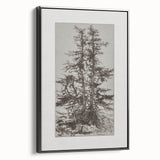 Botanical Etching – Forest Trees Nature Illustration Art Print