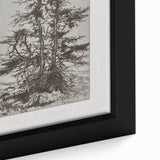Botanical Etching – Forest Trees Nature Illustration Art Print