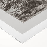 Botanical Etching – Forest Trees Nature Illustration Art Print