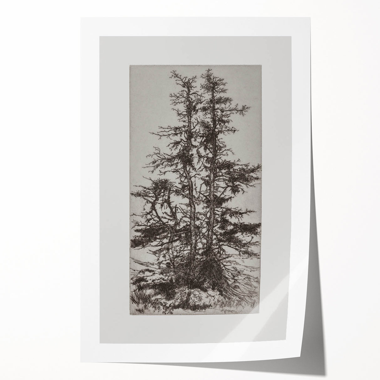 Botanical Etching – Forest Trees Nature Illustration Art Print
