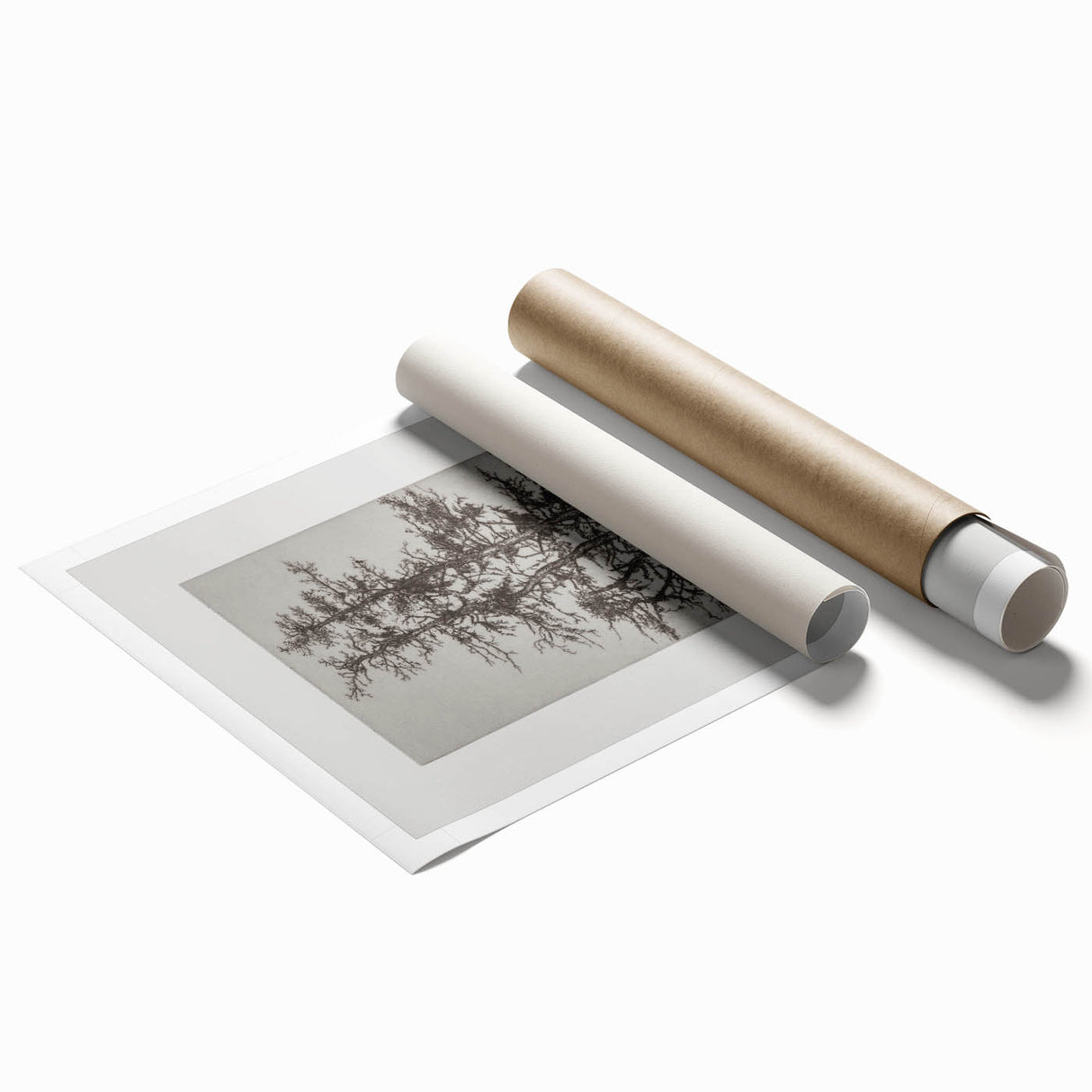 Botanical Etching – Forest Trees Nature Illustration Art Print