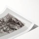 Botanical Etching – Forest Trees Nature Illustration Art Print
