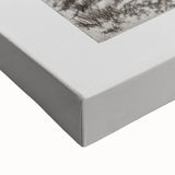 Botanical Etching – Forest Trees Nature Illustration Art Print