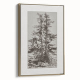 Botanical Etching – Forest Trees Nature Illustration Art Print