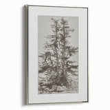 Botanical Etching – Forest Trees Nature Illustration Art Print
