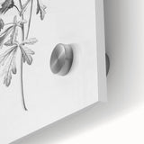 Botanical Art Print – Floral Illustration of Wild Flowers