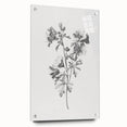Botanical Art Print – Floral Illustration of Wild Flowers