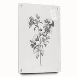 Botanical Art Print – Floral Illustration of Wild Flowers