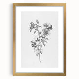 Botanical Art Print – Floral Illustration of Wild Flowers