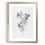 Botanical Art Print – Floral Illustration of Wild Flowers