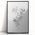 Botanical Art Print – Floral Illustration of Wild Flowers