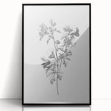 Botanical Art Print – Floral Illustration of Wild Flowers
