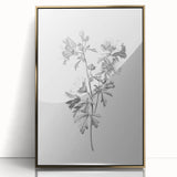 Botanical Art Print – Floral Illustration of Wild Flowers