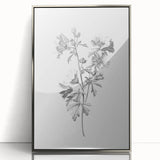 Botanical Art Print – Floral Illustration of Wild Flowers