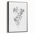 Botanical Art Print – Floral Illustration of Wild Flowers