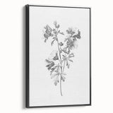 Botanical Art Print – Floral Illustration of Wild Flowers