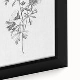 Botanical Art Print – Floral Illustration of Wild Flowers