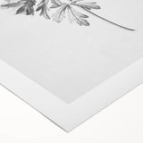 Botanical Art Print – Floral Illustration of Wild Flowers