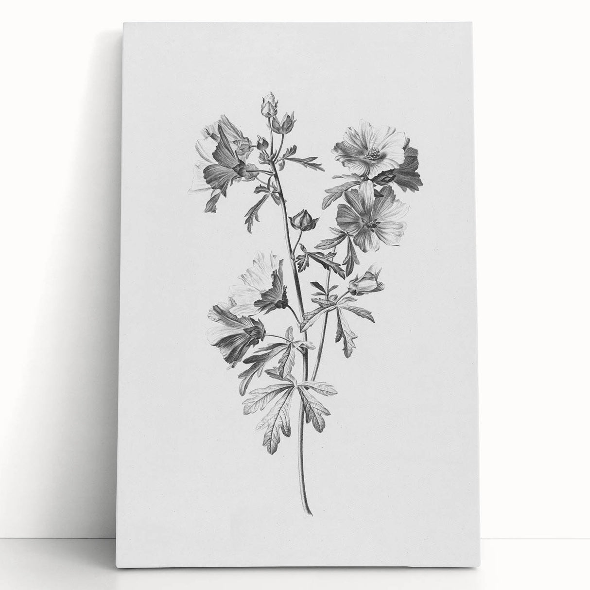 Botanical Art Print – Floral Illustration of Wild Flowers