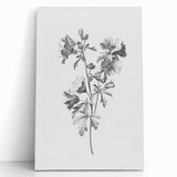 Botanical Art Print – Floral Illustration of Wild Flowers