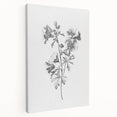 Botanical Art Print – Floral Illustration of Wild Flowers