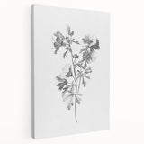 Botanical Art Print – Floral Illustration of Wild Flowers