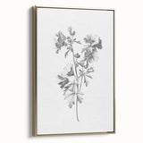 Botanical Art Print – Floral Illustration of Wild Flowers