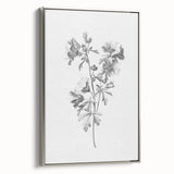 Botanical Art Print – Floral Illustration of Wild Flowers