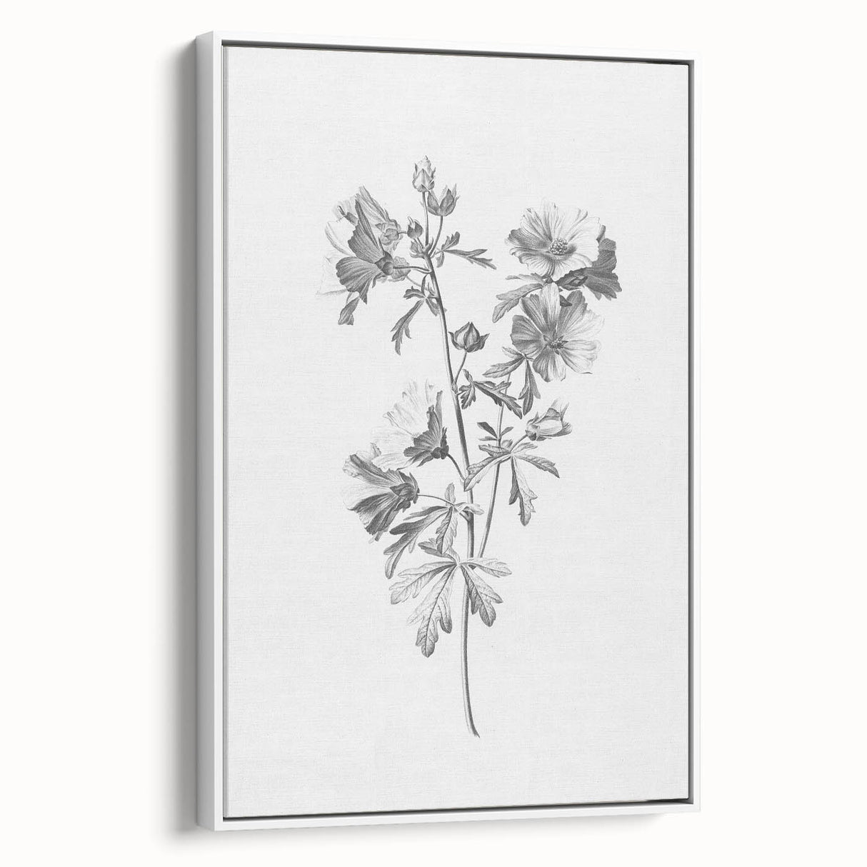 Botanical Art Print – Floral Illustration of Wild Flowers