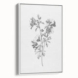 Botanical Art Print – Floral Illustration of Wild Flowers
