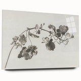 Black and White Botanical Art Prints: Elegant Nasturtium Wall Art