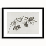Black and White Botanical Art Prints: Elegant Nasturtium Wall Art