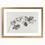 Black and White Botanical Art Prints: Elegant Nasturtium Wall Art
