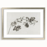 Black and White Botanical Art Prints: Elegant Nasturtium Wall Art