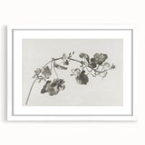 Black and White Botanical Art Prints: Elegant Nasturtium Wall Art