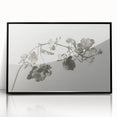 Black and White Botanical Art Prints: Elegant Nasturtium Wall Art