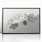 Black and White Botanical Art Prints: Elegant Nasturtium Wall Art