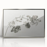 Black and White Botanical Art Prints: Elegant Nasturtium Wall Art