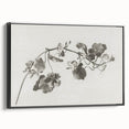 Black and White Botanical Art Prints: Elegant Nasturtium Wall Art