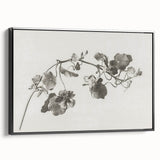 Black and White Botanical Art Prints: Elegant Nasturtium Wall Art