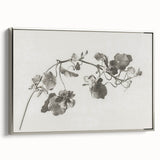 Black and White Botanical Art Prints: Elegant Nasturtium Wall Art